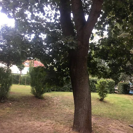 Tapetenwechsel -balkon- 德累斯顿